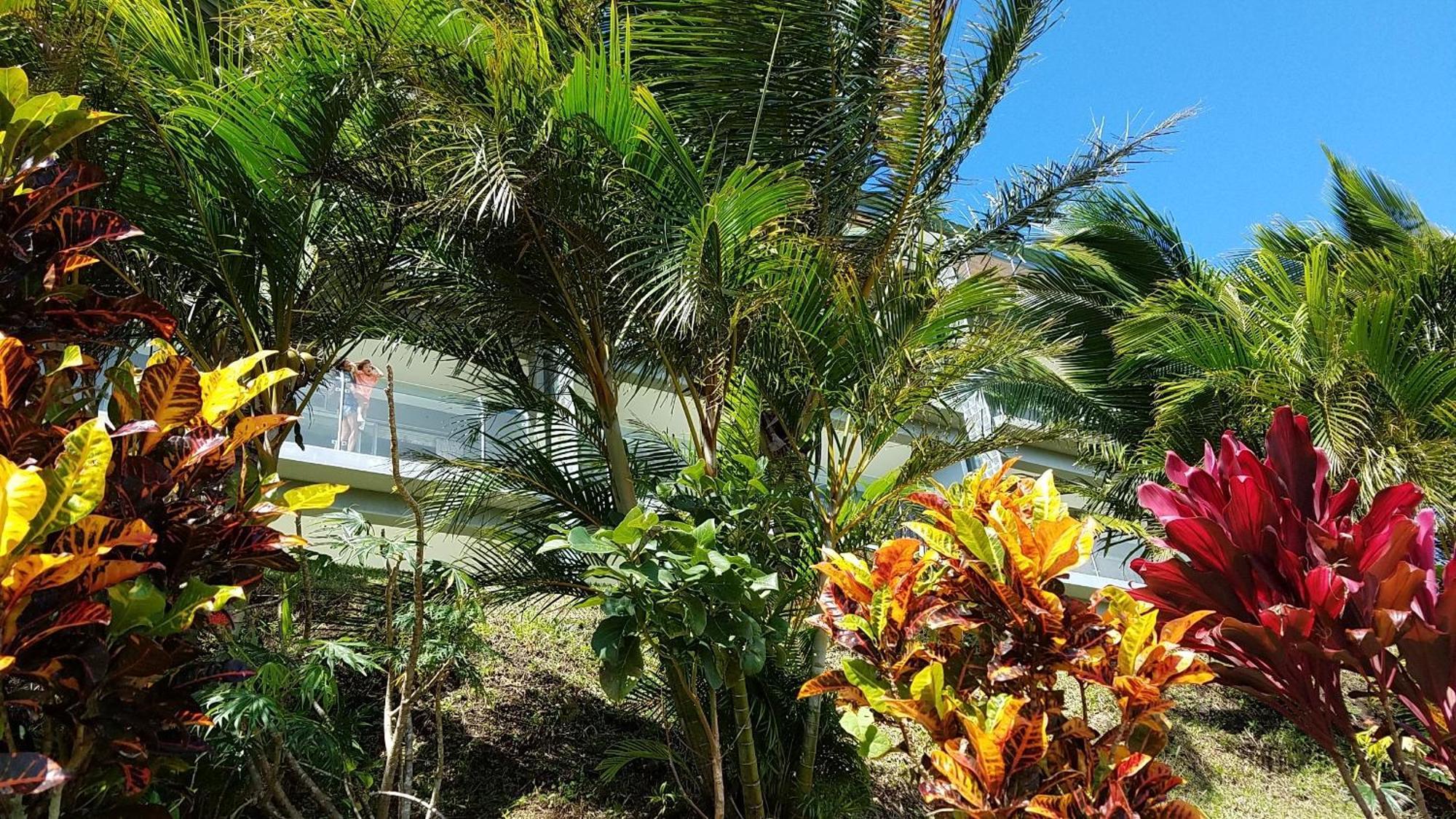 Arenal Apartahotel *