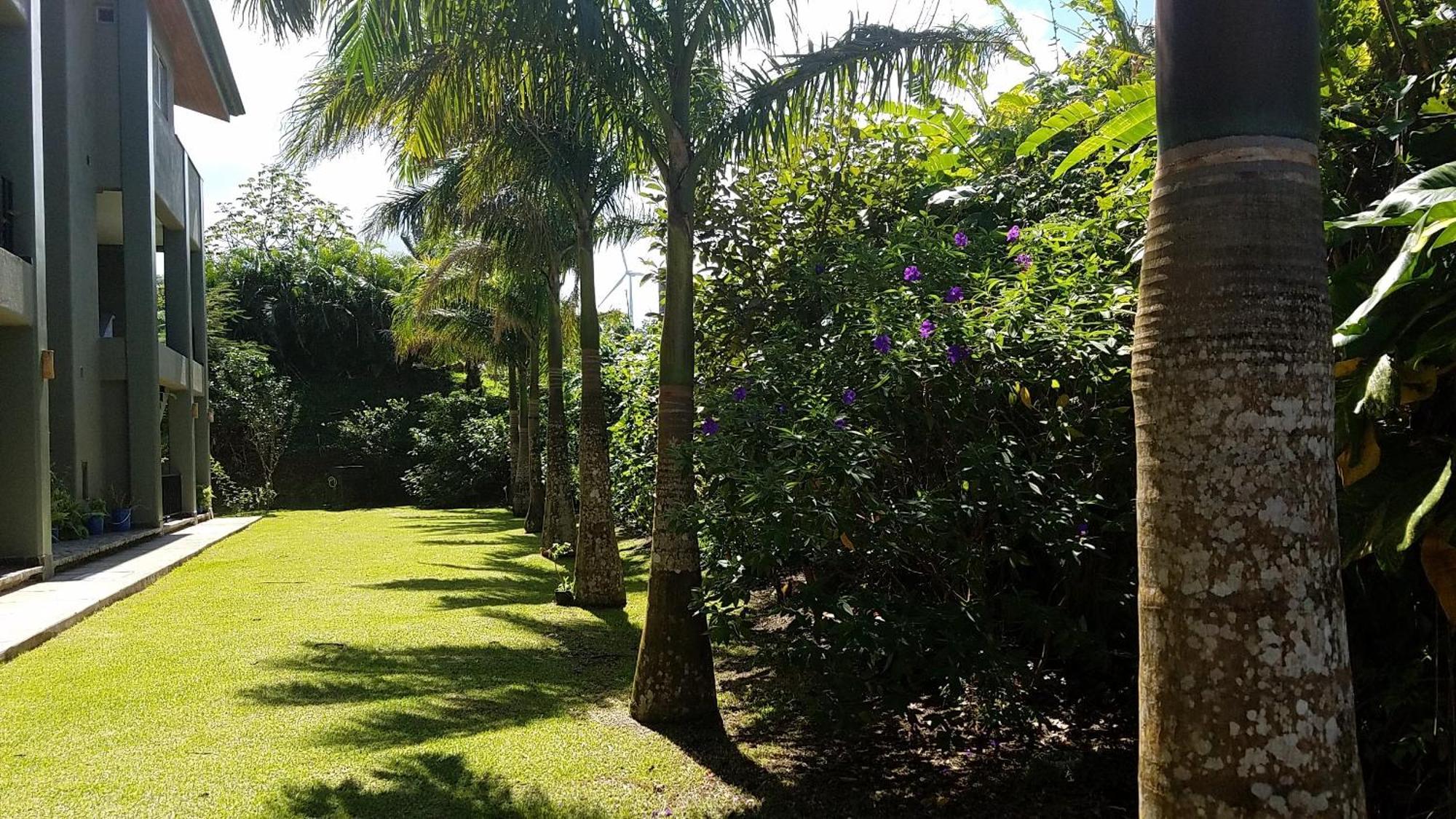 Aparthotel Arenal *